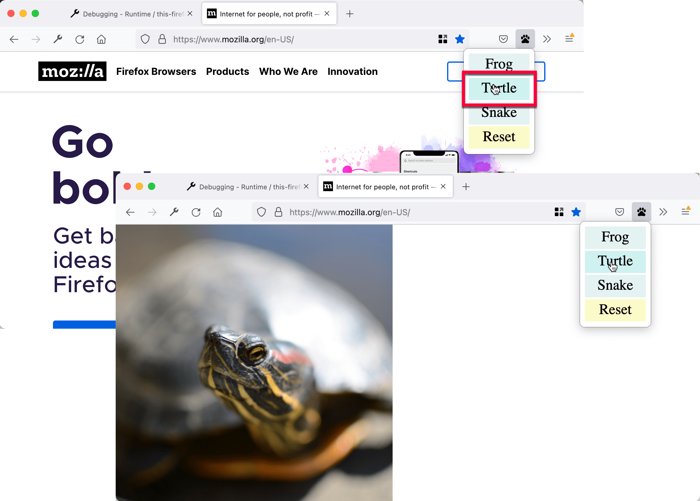 Eine Seite, die durch das Bild einer Schildkröte ersetzt wurde